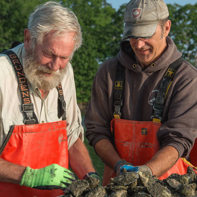Iron Island Maine Oysters (Brunswick, ME) - SOLD OUT